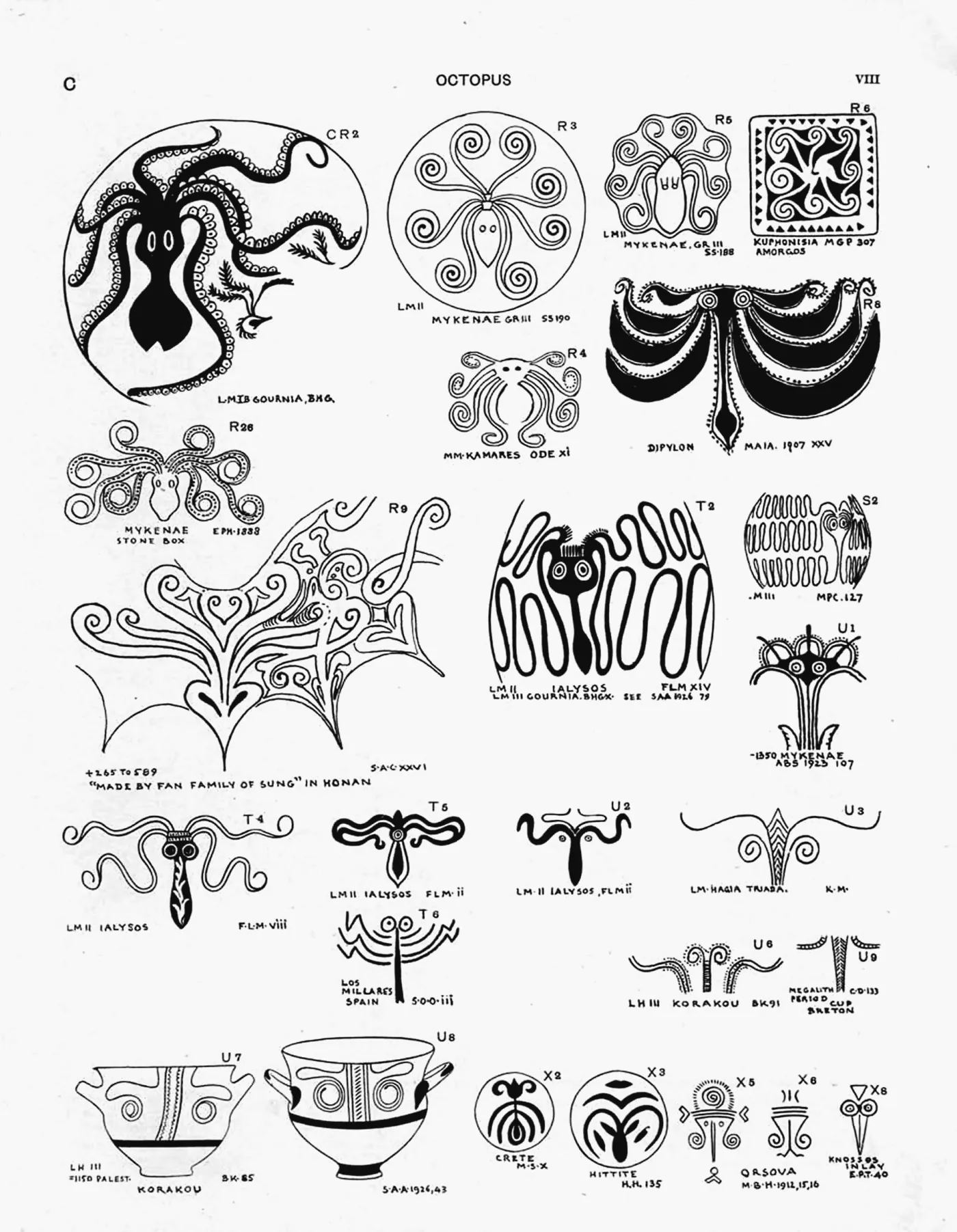 Plate VIII — Octopus