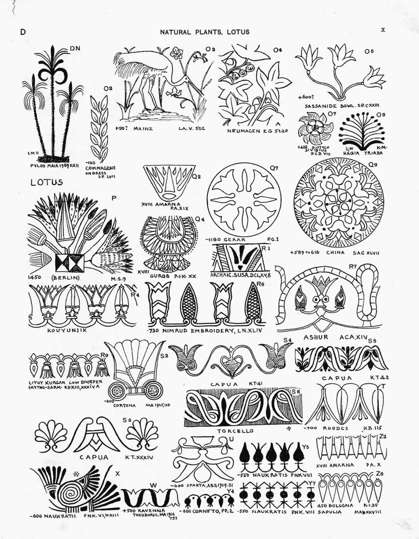 Plate X — Natural Plants, Lotus