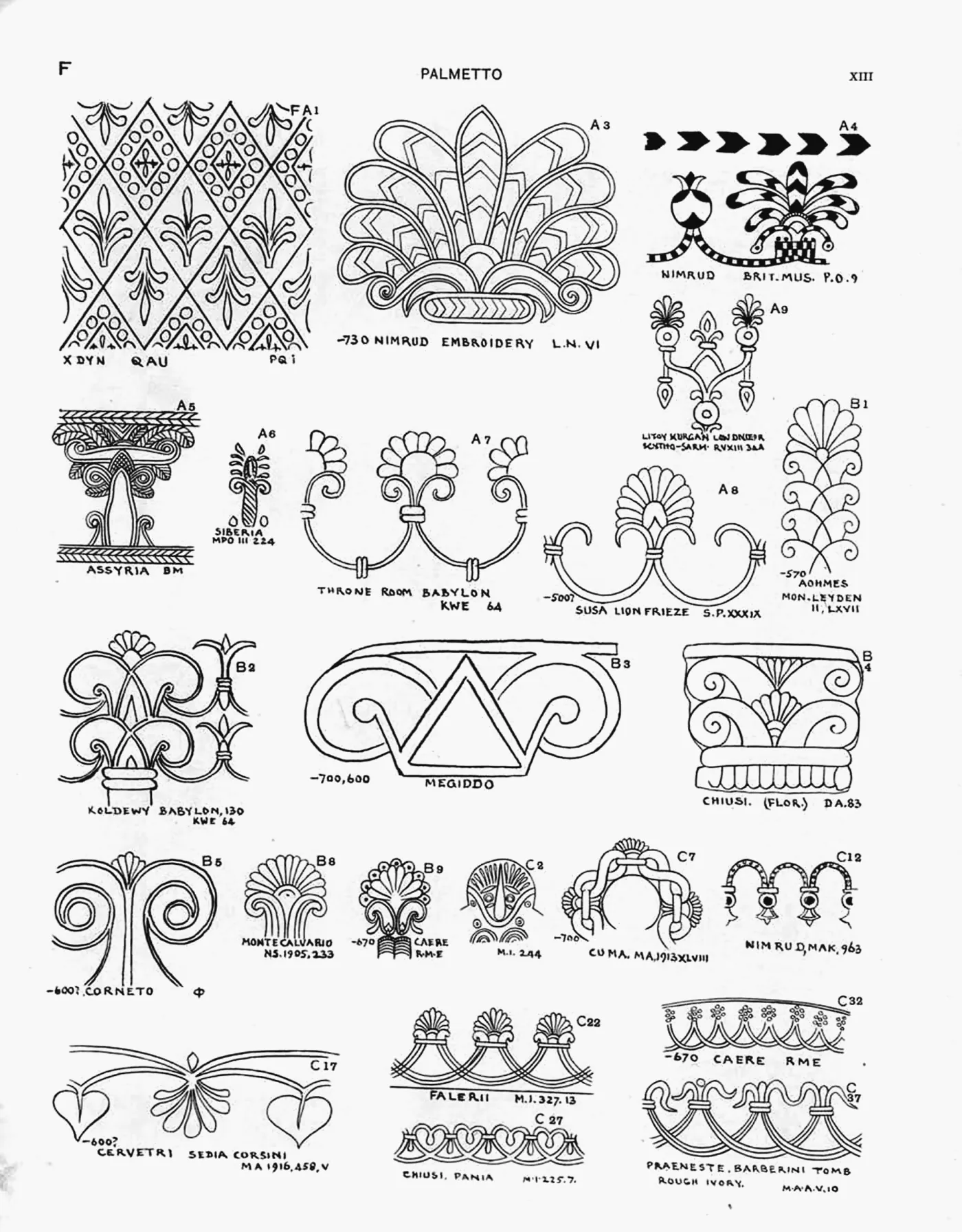 Plate XIII — Palmetto
