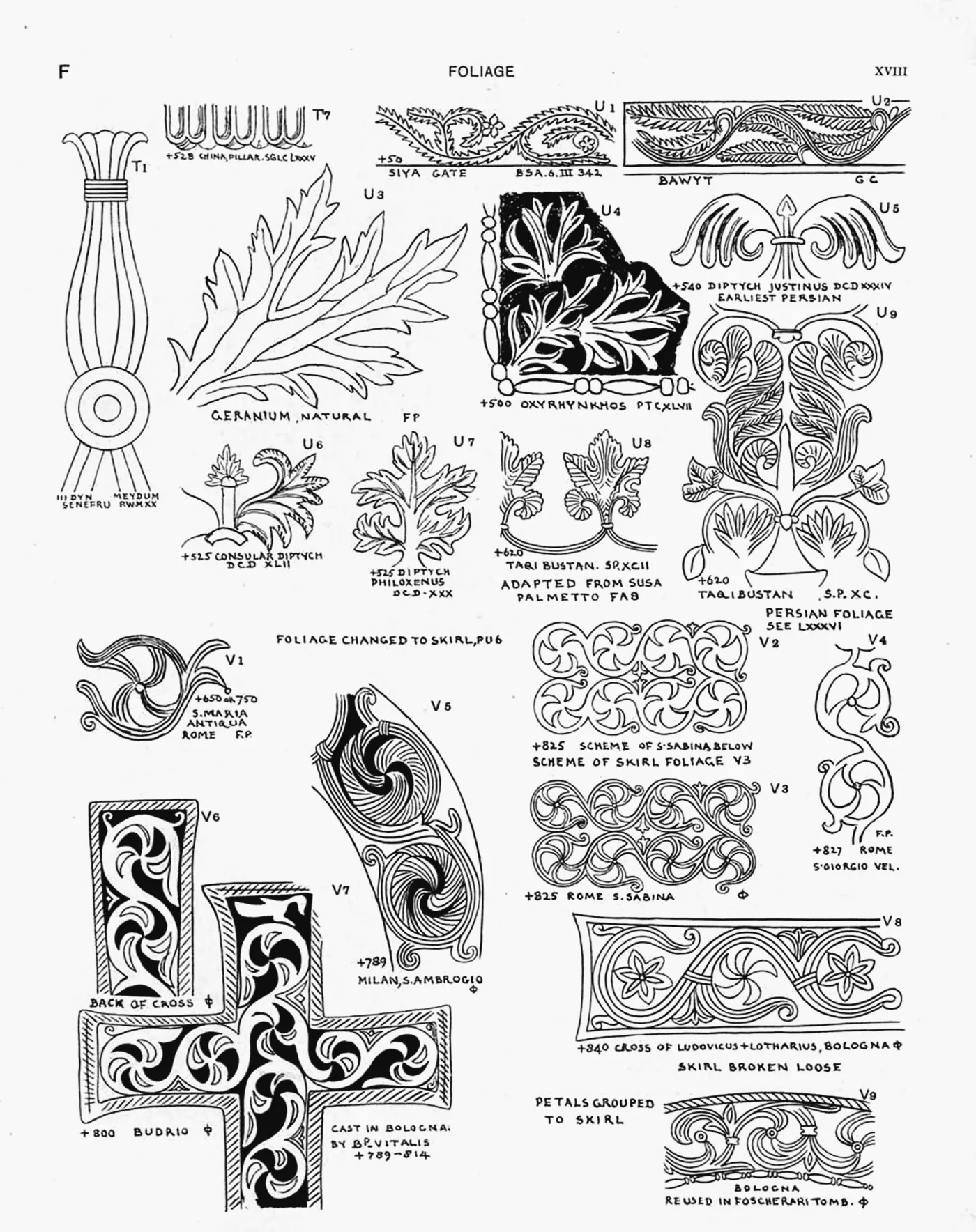 Plate XVIII — Foliage