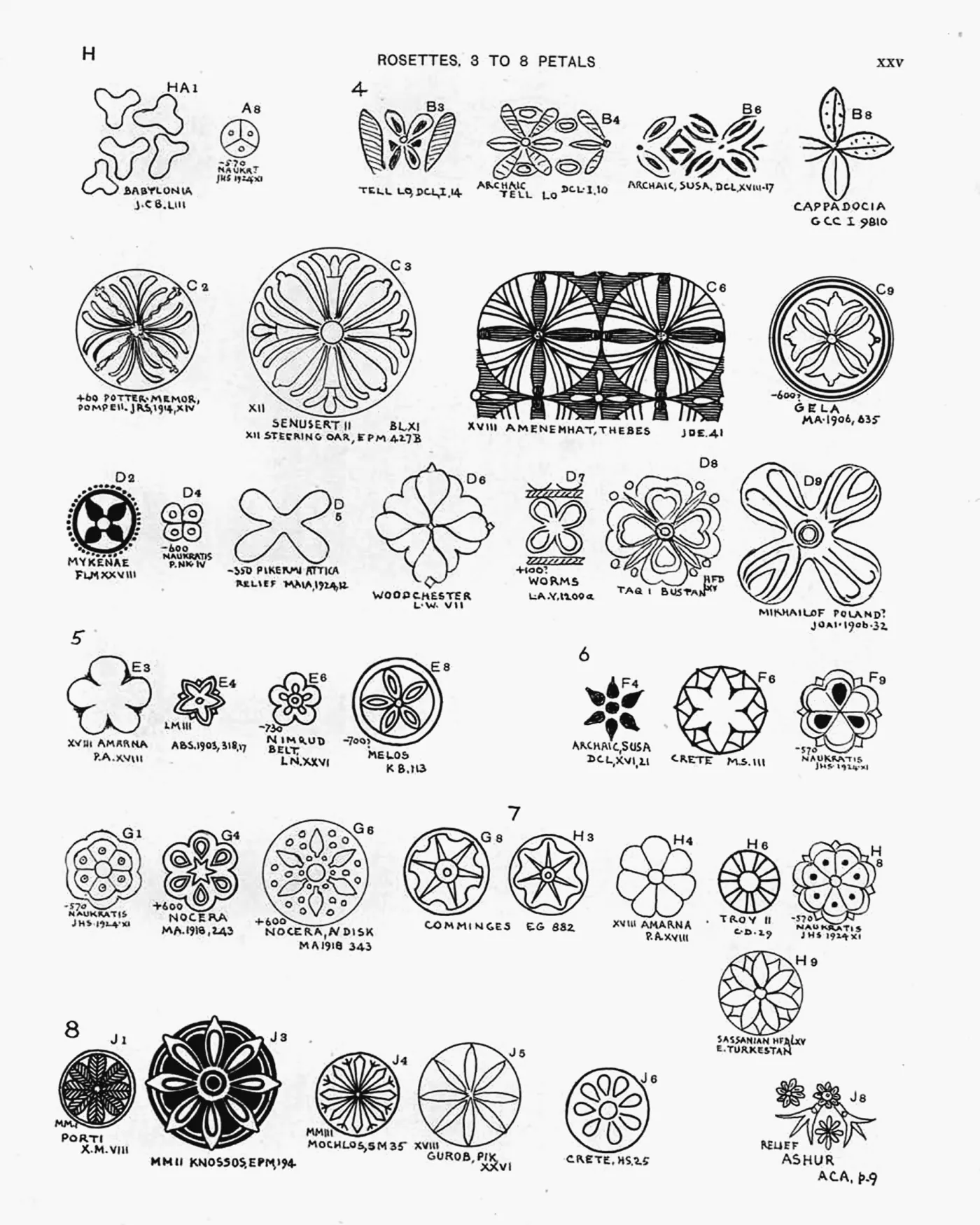 Plate XXV — Rosettes, 3 to 8 Petals