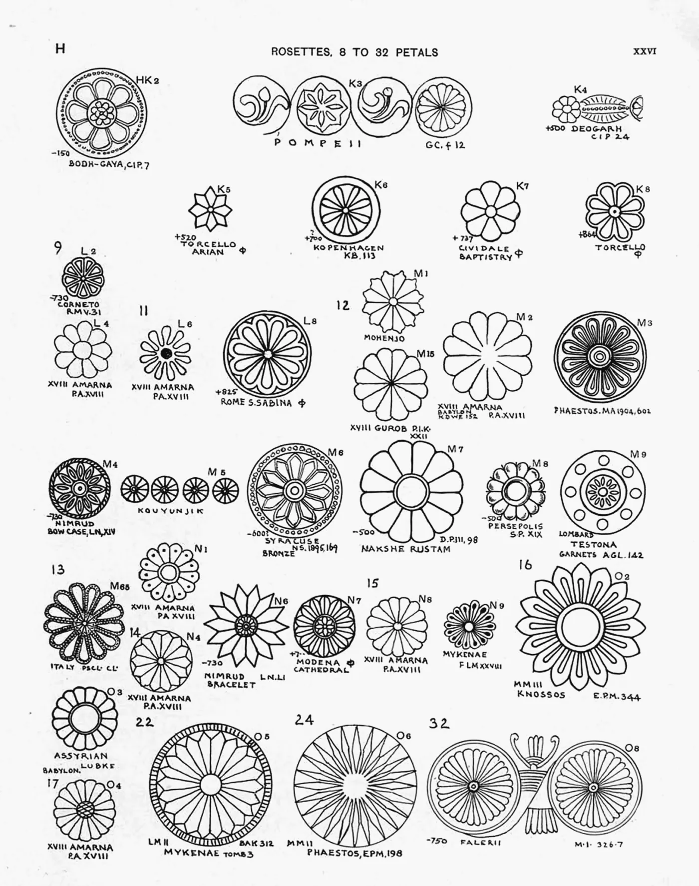 Plate XXVI — Rosettes, 8 to 32 Petals